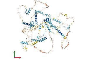 Protein Structure (PS) image for Squamous Cell Carcinoma Antigen Recognized By T Cells (SART1) (AA 1-800) protein (His tag) (ABIN7546331)