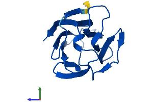 AlphaFold protein structure predicition of Mouse Recombinant Lgals7 Protein, UniprotID O54974 (LGALS7 Protein (AA 1-136) (His tag))