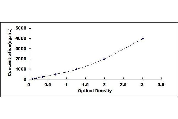 Haptoglobin ELISA Kit