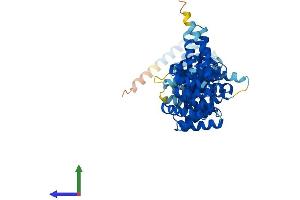 AlphaFold protein structure predicition of Mouse Recombinant Ttc34 Protein, UniprotID Q8C0Q3 (TTC34 Protein (AA 1-554) (His tag))