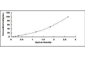 ELISA image for Insulin-Like Growth Factor Binding Protein 4 (IGFBP4) ELISA Kit (ABIN4947699)