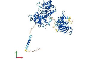 Protein Structure (PS) image for Exostosin 2 (EXT2) (AA 1-718) protein (His tag) (ABIN7553850)