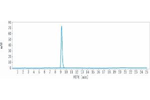 anti-PDCD1 (Zimberelimab Biosimilar) antibody