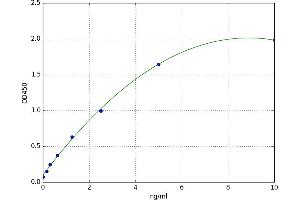 Kynureninase (L-Kynurenine Hydrolase) (KYNU) ELISA Kit