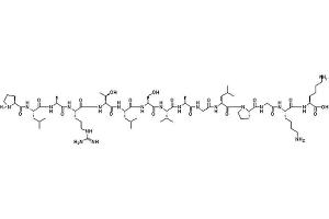 Image no. 1 for Syntide-2 peptide (ABIN399829) (Syntide-2 Peptide)