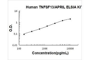 Tumor Necrosis Factor (Ligand) Superfamily, Member 13 (TNFSF13) ELISA Kit
