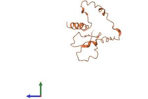 AlphaFold protein structure predicition of Human Recombinant BPESC1 Protein, UniprotID Q9GZL8 (BPESC1 Protein (AA 1-116) (His tag))