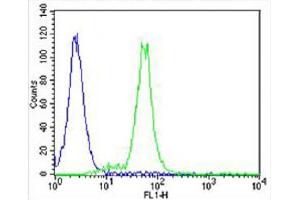 Overlay histogram showing SH-SY5Y cells stained with (ABIN6242180 and ABIN6577907) (green line). (Adenosine A2a Receptor antibody  (C-Term))