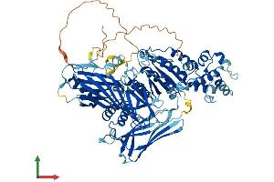 Protein Structure (PS) image for Von Willebrand Factor A Domain Containing 5A (VWA5A) (AA 1-786) protein (His tag) (ABIN7545160)