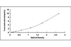 Typical standard curve (ITGB6 ELISA Kit)