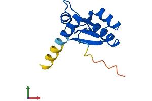 AlphaFold protein structure predicition of Mouse Recombinant Rpl30 Protein, UniprotID P62889 (RPL30 Protein (AA 1-115) (His tag))