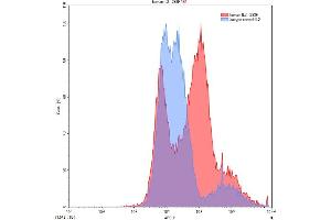 Detection of IL2 in 293F line transfected with target gene using Polyclonal Antibody to Interleukin 2 (IL2) (IL-2 antibody  (AA 21-153))