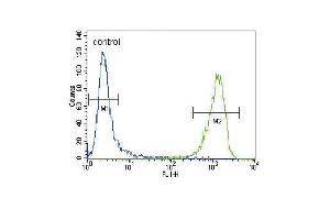 ACTA1/α-actin Antibody (C-term)  flow cytometric analysis of CEM cells (right histogram) compared to a negative control cell (left histogram). (Actin antibody  (C-Term))