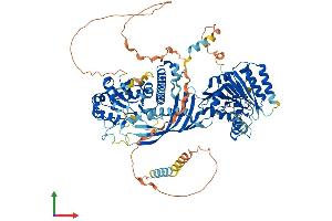 AlphaFold protein structure predicition of Mouse Recombinant Chsy3 Protein, UniprotID Q5DTK1