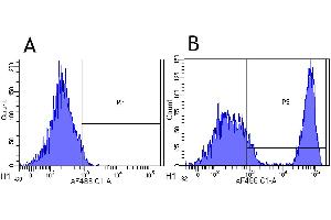 Flow-cytometry using the anti-CD20 research biosimilar antibody Rituximab   Rhesus monkey lymphocytes were stained with an isotype control (panel A) or the rabbit-chimeric version of Rituximab (panel B) at a concentration of 1 µg/ml for 30 mins at RT. (Recombinant MS4A1 (Rituximab Biosimilar) antibody)