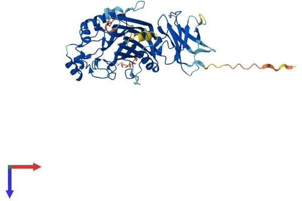 INPP5K Protein (AA 1-468) (His tag)