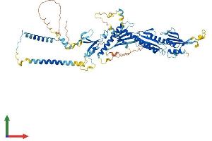 AlphaFold protein structure predicition of Human Recombinant MED17 Protein, UniprotID Q9NVC6 (MED17 Protein (AA 1-651) (His tag))
