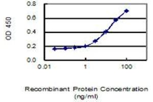 Detection limit for recombinant GST tagged SPZ1 is 1 ng/ml as a capture antibody. (SPZ1 antibody  (AA 1-430))
