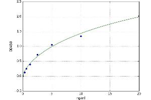 A typical standard curve