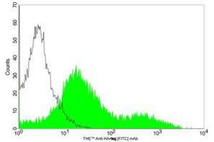 Flow cytometric analysis of transfected HEK-293 cell expressing HA-tagged protein using Anti-HA-tag [FITC] Monoclonal Antibody (ABIN387723, shaded histogram) or with a negative control antibody (open histogram) . (DYKDDDDK Tag antibody  (FITC))