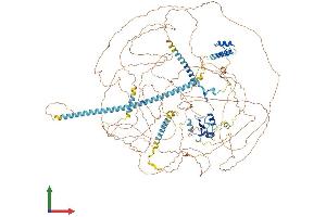 Protein Structure (PS) image for Apoptotic Chromatin Condensation Inducer 1 (ACIN1) (AA 1-1338) protein (His tag) (ABIN7565093)