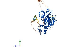 Protein Structure (PS) image for Heparan Sulfate 3-O-Sulfotransferase 2 (HS3ST2) (AA 1-367) protein (His tag) (ABIN7548408)
