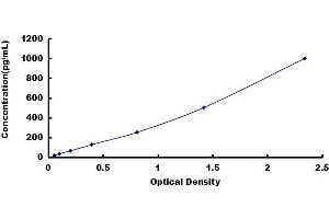 Typical standard curve (CCL2 ELISA Kit)