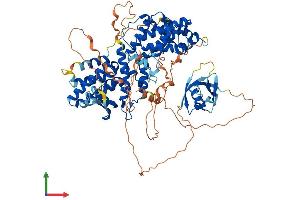 Protein Structure (PS) image for Ral Guanine Nucleotide Dissociation Stimulator-Like 2 (RGL2) (AA 1-778) protein (His tag) (ABIN7557679)