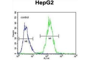 Flow cytometric analysis of HepG2 cells using RDH13 Antibody  (right histogram) compared to a negative control cell (left histogram).