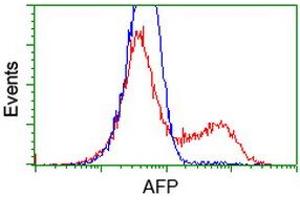 HEK293T cells transfected with either RC206622 overexpress plasmid (Red) or empty vector control plasmid (Blue) were immunostained by anti-AFP antibody (ABIN2452709), and then analyzed by flow cytometry. (alpha Fetoprotein antibody)