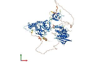 AlphaFold protein structure predicition of Human Recombinant PTPN4 Protein, UniprotID P29074 (PTPN4 Protein (AA 1-926) (His tag))
