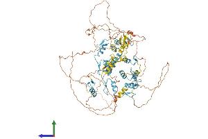 Protein Structure (PS) image for E4F Transcription Factor 1 (E4F1) (AA 1-784) protein (His tag) (ABIN7553737)