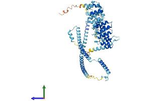 AlphaFold protein structure predicition of Human Recombinant CLHC1 Protein, UniprotID Q8NHS4
