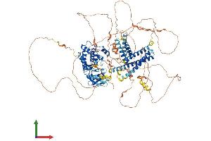 AlphaFold protein structure predicition of Human Recombinant ULK1 Protein, UniprotID O75385
