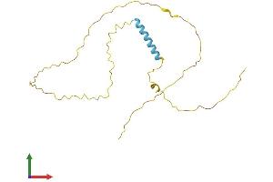 Protein Structure (PS) image for Transcription Elongation Factor A (SII)-Like 3 (TCEAL3) (AA 1-200) protein (His tag) (ABIN7559625)