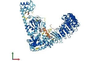 AlphaFold protein structure predicition of Mouse Recombinant Nlrp9a Protein, UniprotID Q66X03 (Nlrp9a Protein (AA 1-949) (His tag))