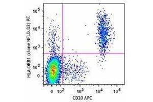 Flow Cytometry (FACS) image for anti-Major Histocompatibility Complex, Class II, DR beta 1 (HLA-DRB1) antibody (PE) (ABIN2662751)