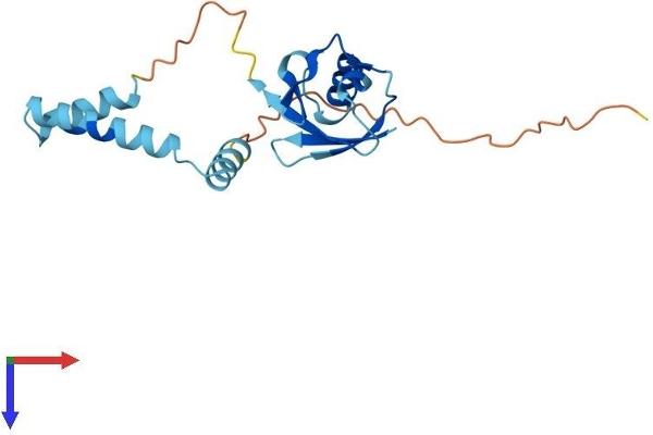UBL4B Protein (AA 1-174) (His tag)