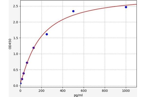 ACP2 ELISA Kit