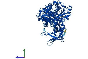 AlphaFold protein structure predicition of Human Recombinant PGM2L1 Protein, UniprotID Q6PCE3 (PGM2L1 Protein (AA 1-622) (His tag))