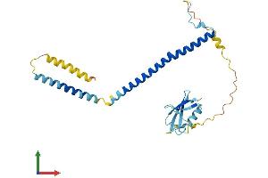 Protein Structure (PS) image for UBX Domain Protein 8 (UBXN8) (AA 1-270) protein (His tag) (ABIN7544867)