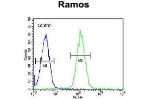 MGC24975 Antibody (C-term) flow cytometric analysis of Ramos cells (right histogram) compared to a negative control cell (left histogram). (PRR22 antibody  (C-Term))
