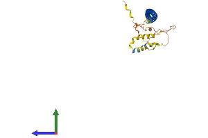 AlphaFold protein structure predicition of Mouse Recombinant Krt222 Protein, UniprotID Q8CCX5 (KRT222 Protein (AA 1-294) (His tag))