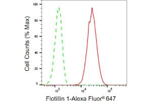 Flow cytometric analysis of Flotillin 1 expression in HepG2 cells using Flotillin 1 antibody (ABIN7798631), 1:2,000). (Recombinant Flotillin 1 antibody)