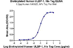 Immobilized Human NKG2D, hFc Tag at 2 μg/mL (100 μL/Well) on the plate. (ULBP1 Protein (His-Avi Tag,Biotin))