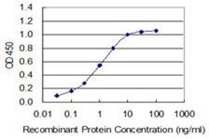 Detection limit for recombinant GST tagged CCT2 is 0.