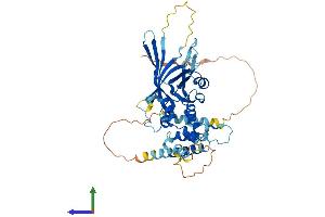AlphaFold protein structure predicition of Human Recombinant FBXO9 Protein, UniprotID Q9UK97