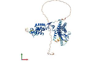 AlphaFold protein structure predicition of Mouse Recombinant Arih1 Protein, UniprotID Q9Z1K5 (ARIH1 Protein (AA 1-555) (His tag))