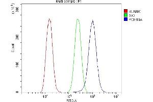 Flow Cytometry analysis of A549 cells using anti-PDE10A antibody (ABIN7601943). (PDE10A antibody  (AA 515-779))