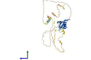 AlphaFold protein structure predicition of Human Recombinant FOXI1 Protein, UniprotID Q12951